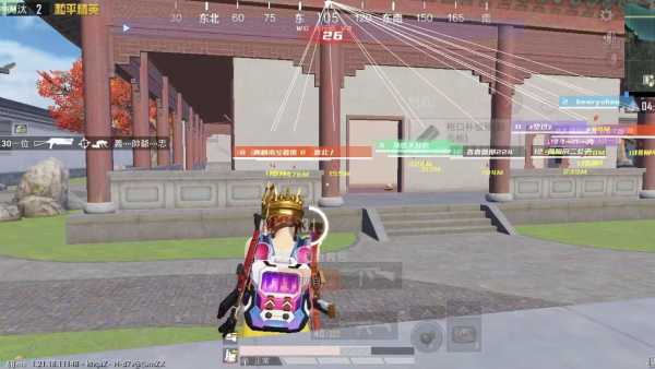 和平精英辅助【骑士直装】【雷神直装】范围打击 雷达预警 皮肤美化 掩体变色 漏打追踪 范围追踪